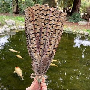 Hand Crafted Feather Fan Artwork Home Decor New